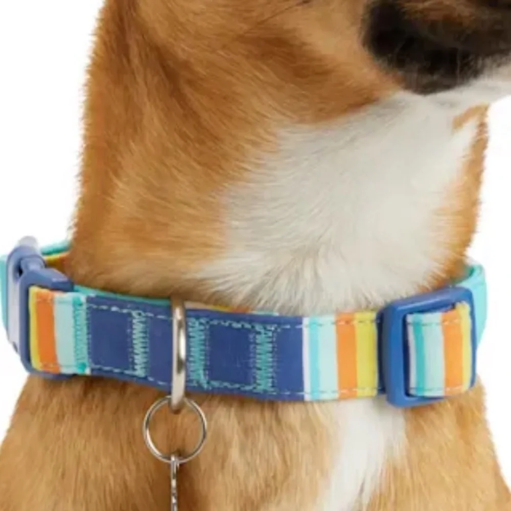 NWT Artist Striped Dog Collar M